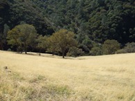 2297216013 near Lake Berryessa